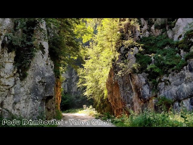 Muntii Leaota - Curmatura Fiarelor (filmare aeriana 4K)