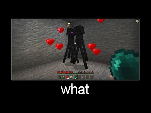 Minecraft wait what meme part 23