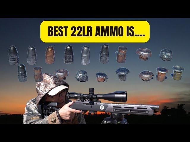 Best 22LR Ammo Is....