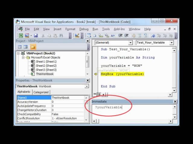 Check and Change VBA Variables Using The Immediate Window - EXCEL