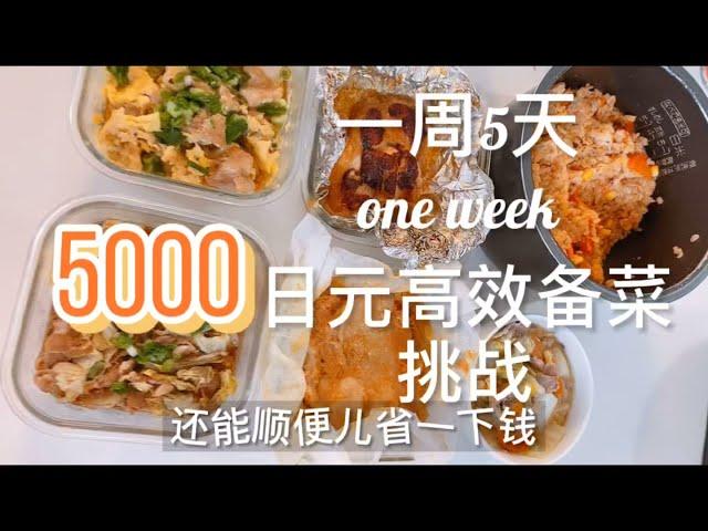 超实用｜日本上班族妈妈｜一周5000円超省钱高效备餐|日式便当