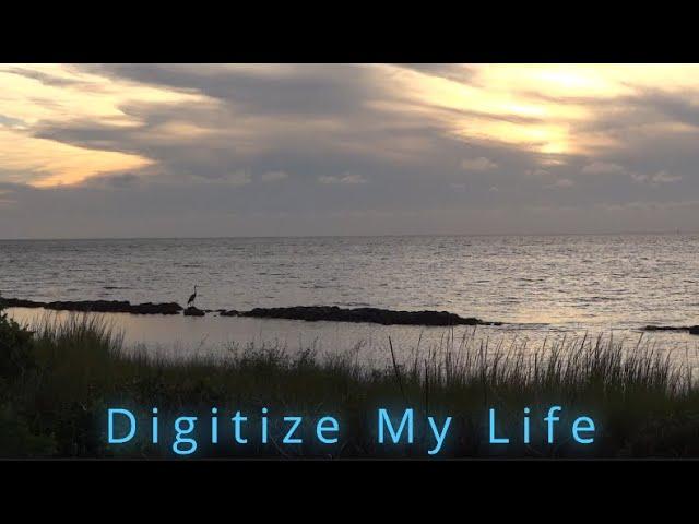 Oceanic Blend - Digitize My Life (Lyric Video)
