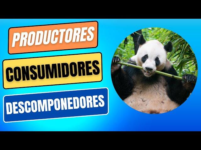 Ecosistemas | Que son los Productores y Consumidores?