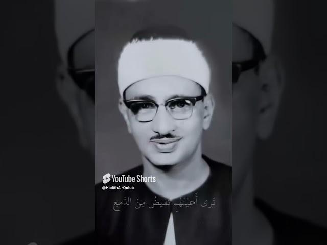 وَإِذا سَمِعوا ما أُنزِلَ إِلَى الرَّسولِ   الشيخ محمد صديق المنشاوي