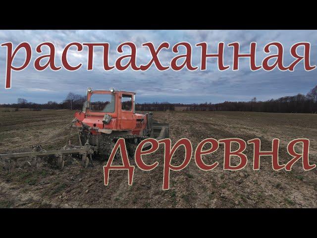 Старинные находки на распаханной деревне.Поиск старины с металлоискателем.Коп и находки на деревне.