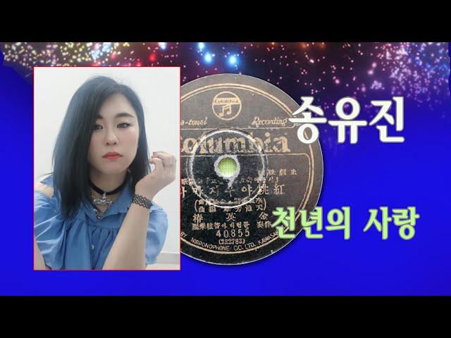 송유진 18번 김해 천년의 사랑 (박완규)제7회 홍도야 우지마라 전국가요제