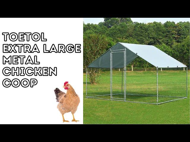 TOETOL Extra Large Metal Chicken Coop