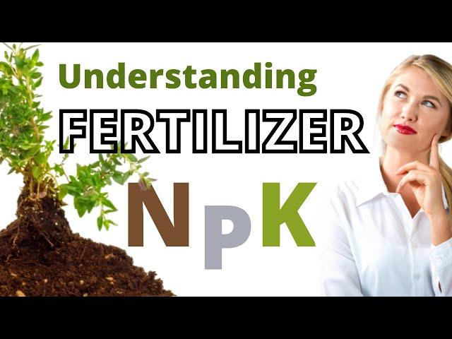 How Does Fertilizer Work?