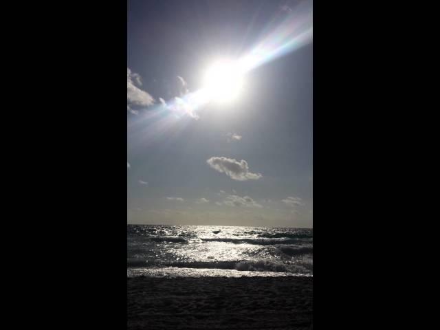 Boca Raton, Florida Red Reef Beach Carolyn Boinis