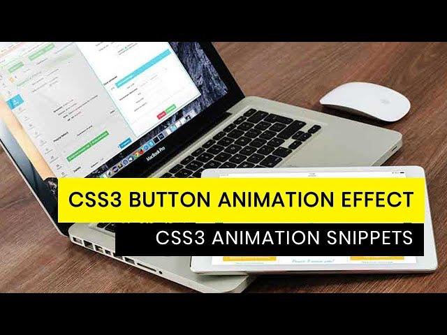 CSS3 Button Text Animation Effect | CSS3 Animation Snippets | Divinector