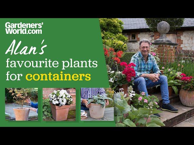 Five plants for containers | Alan Titchmarsh's top container plants