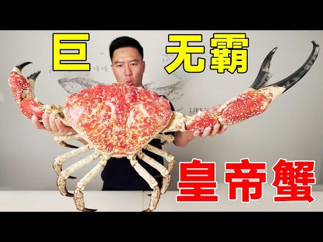 18.5 jin giant emperor crab! A 8000 yuan foot is thicker than an arm  and one leg is full# Xiaowen