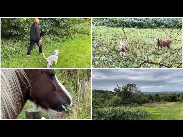  A walk along the golf course and Debby has a new hobby