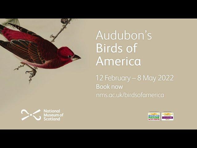 Audubon’s Birds of America trailer