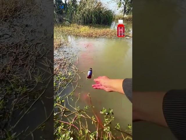 Fishing bait liquid - Fishing