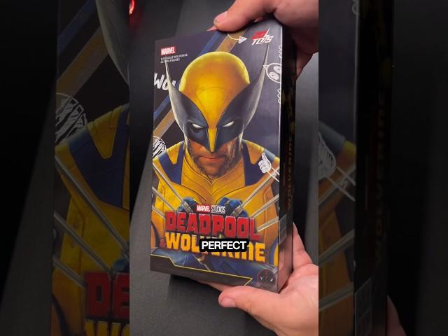 ZDToys 1:10 Wolverine Figure! #wolverine #actionfigures #deadpool #deadpoolandwolverine #unboxing