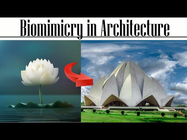 Biomimicry in Architecture