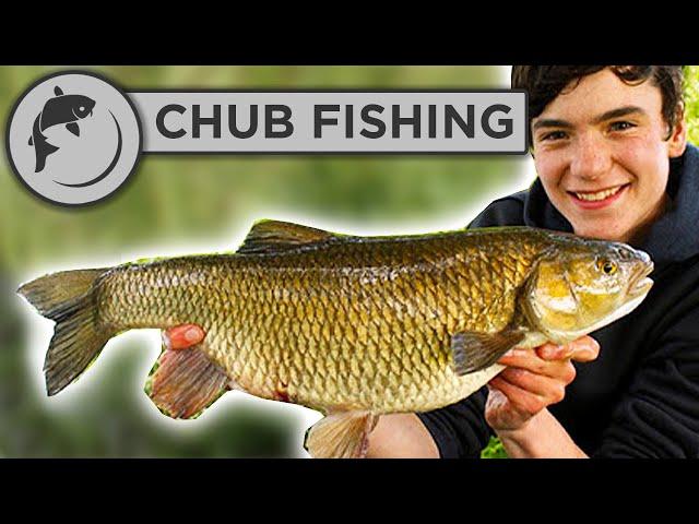 How To Catch Chub - THE FULL GUIDE!