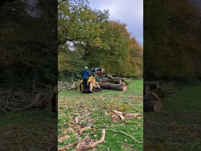 Klou KLG2-M Log Grab attachment in use on Vermeer S925TX mini skid-steer.