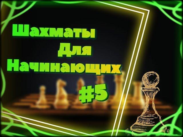 Шахматы для начинающих [Урок 5] - Шахматная фигура[Слон]
