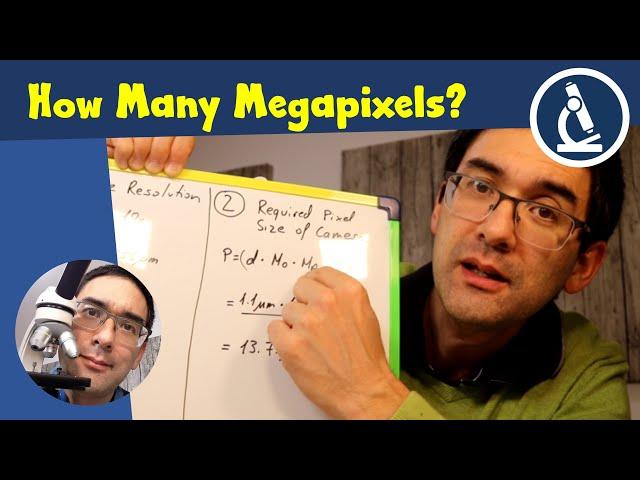  How many Megapixels does your microscope camera need? | Amateur Microscopyy