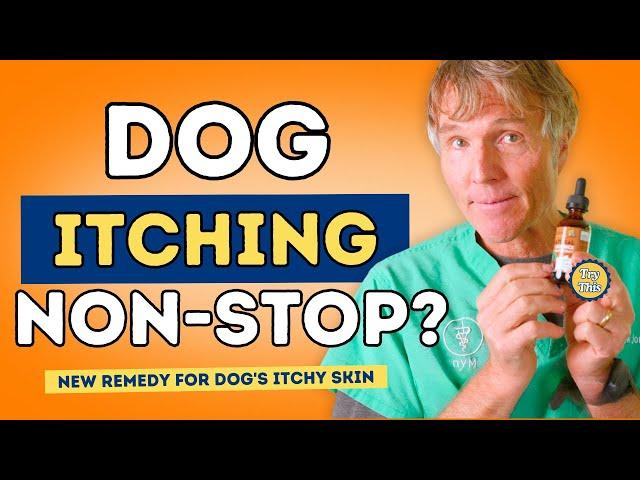 Dog Skin Infection NEW Recipe (Instant Results)