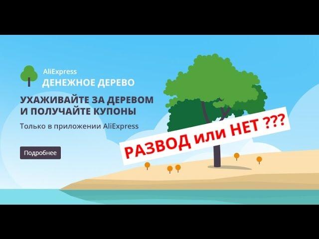 Денежное дерево Алиэкспресс РАЗВОД??? Что я получил за 1000 XP