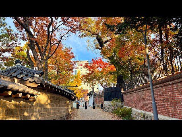 [4K SEOUL] Walking on the most beautiful autumn trail, Deoksugung Palace stonewall path