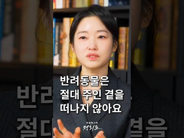 반려동물은 당신의 곁을 절대 떠나지 않아요