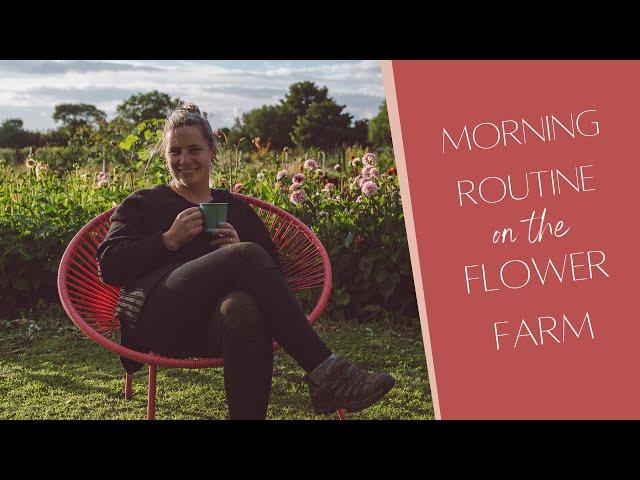 Morning Routine at Origin Flower Farm