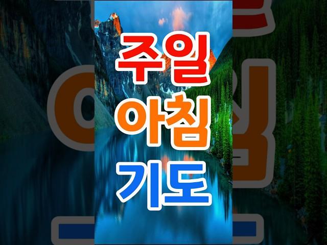 주일 아침 기도  #주일#아침#기도 #오늘