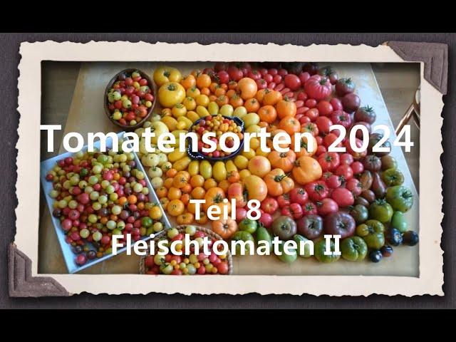 Tomatensorten 2024 Teil 8 - Fleischtomaten II