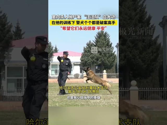 室内杀人抛尸案，“汪汪队”立大功！在他的训练下警犬个个都是破案高手，“希望它们永远健康，平安”！#暂停800次才能看清的狗