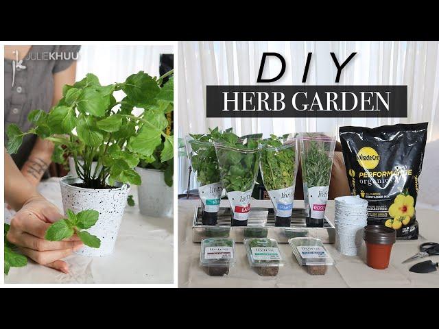 Beginner's Guide To Creating Your Own Indoor Herb Garden (Cheap and Easy!)