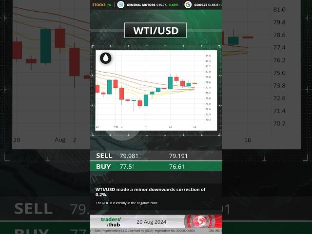 Traders Hub Technical Analysis 20.08.2024