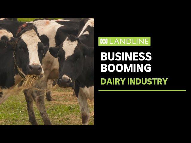 Australia's dairy industry is booming | Landline | ABC News