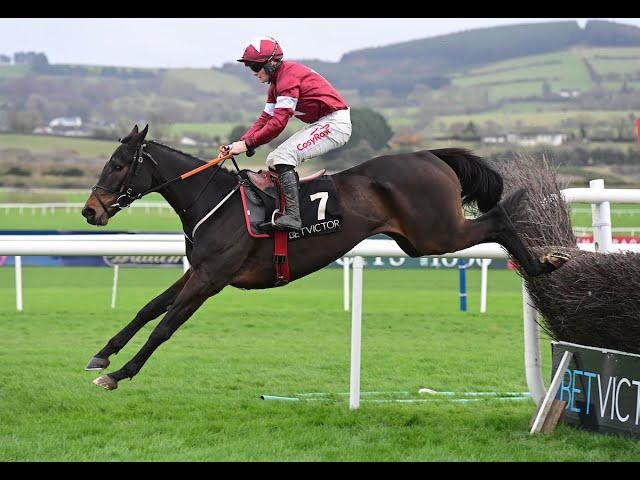 Touch Me Not jumps for fun in the Craddockstown!