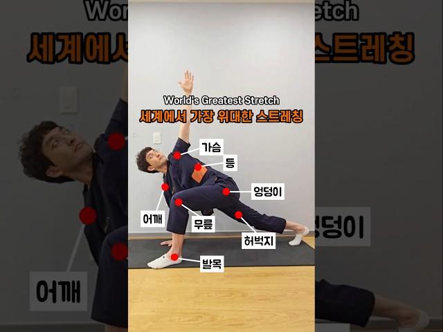 세계에서 가장 위대한 스트레칭 #전신운동 #전신스트레칭 #홈트 #스트레칭 #등스트레칭 #어깨스트레칭 #골반스트레칭 #코어운동 #골반스트레칭 #허벅지스트레칭 #stretching