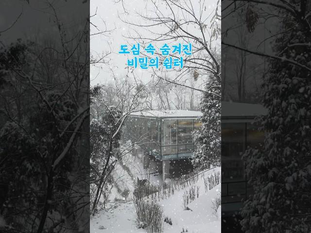 서울 도심 속 숨겨진 숲속 쉼터 #겨울여행