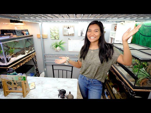 MY REPTILE ROOM TOUR (under a loft bed?!)