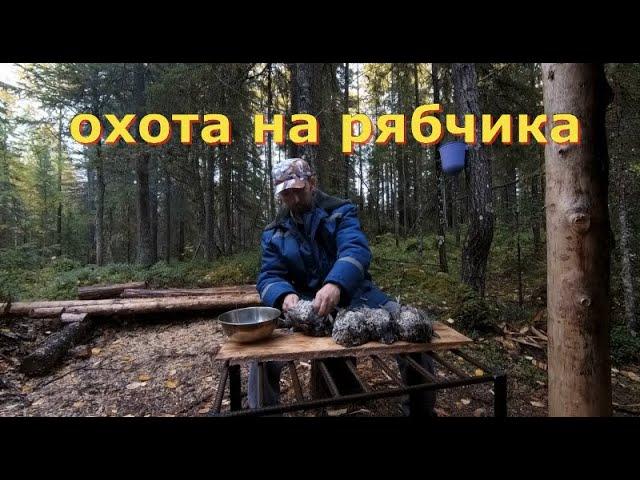 охота на боровую дичь 2020