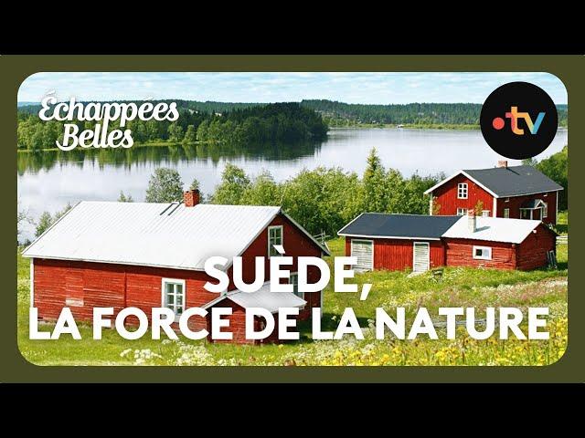 Suède, la force de la nature - Échappées belles