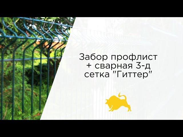 Забор профлист + сварная 3-д сетка "Гиттер"