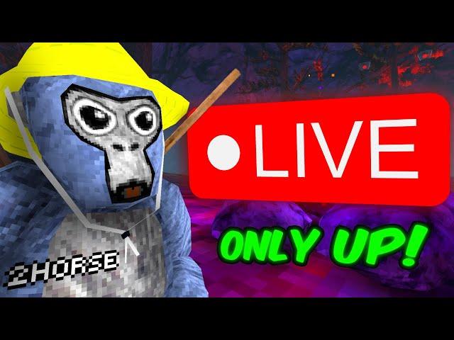 Only Up In GORILLA TAG! (Playing With YOU)