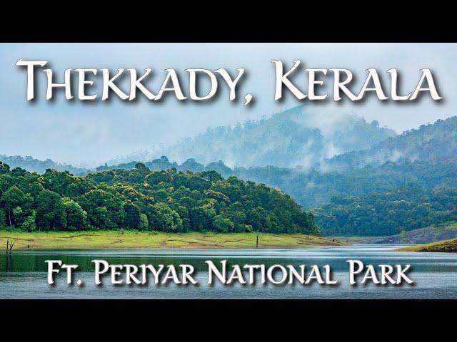 TOP THINGS TO DO IN THEKKADY │ KERALA │ THEKKADY TOURIST PLACES │ PERIYAR TIGER RESERVE