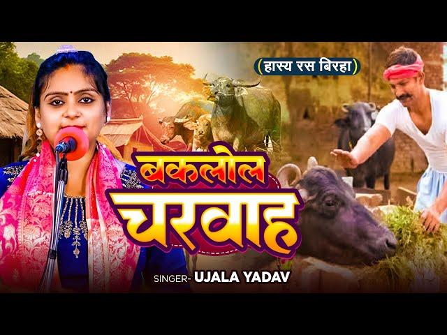 #Ujala Yadav का हास्य रस #बिरहा - बकलोल चरवाह - Bhojpuri Birha