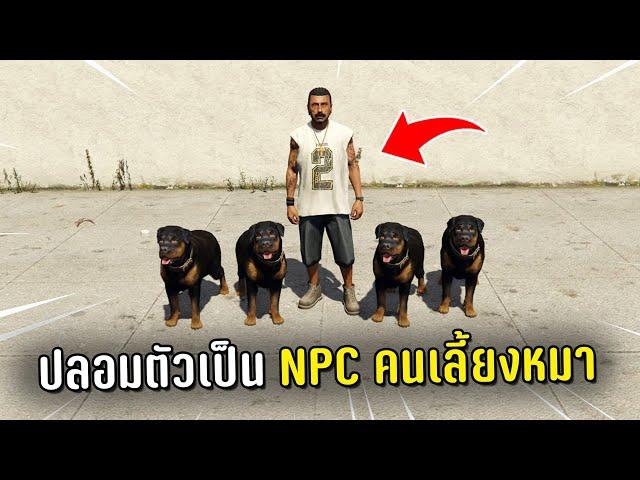 ปลอมตัวเป็น NPC ปล่อยหมาไล่กัด แกล้งคนในเกม GTA V Roleplay