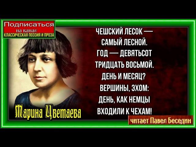 Один офицер— Марина Цветаева —Советская Поэзия — читает Павел Беседин