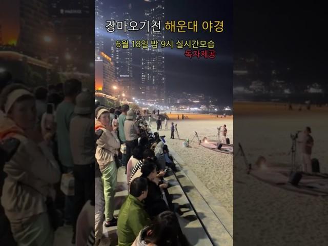 장마오기전 "부산 해운대 야경" 실시간모습