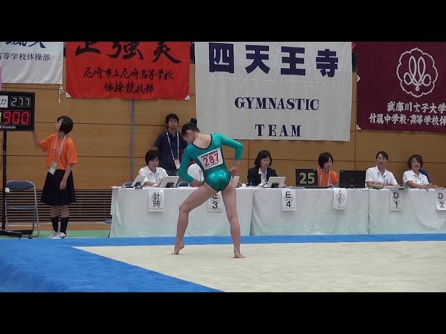 2017 NINOMIYA Sayaka 二宮さやか Synchronized Floor Music (Similar)